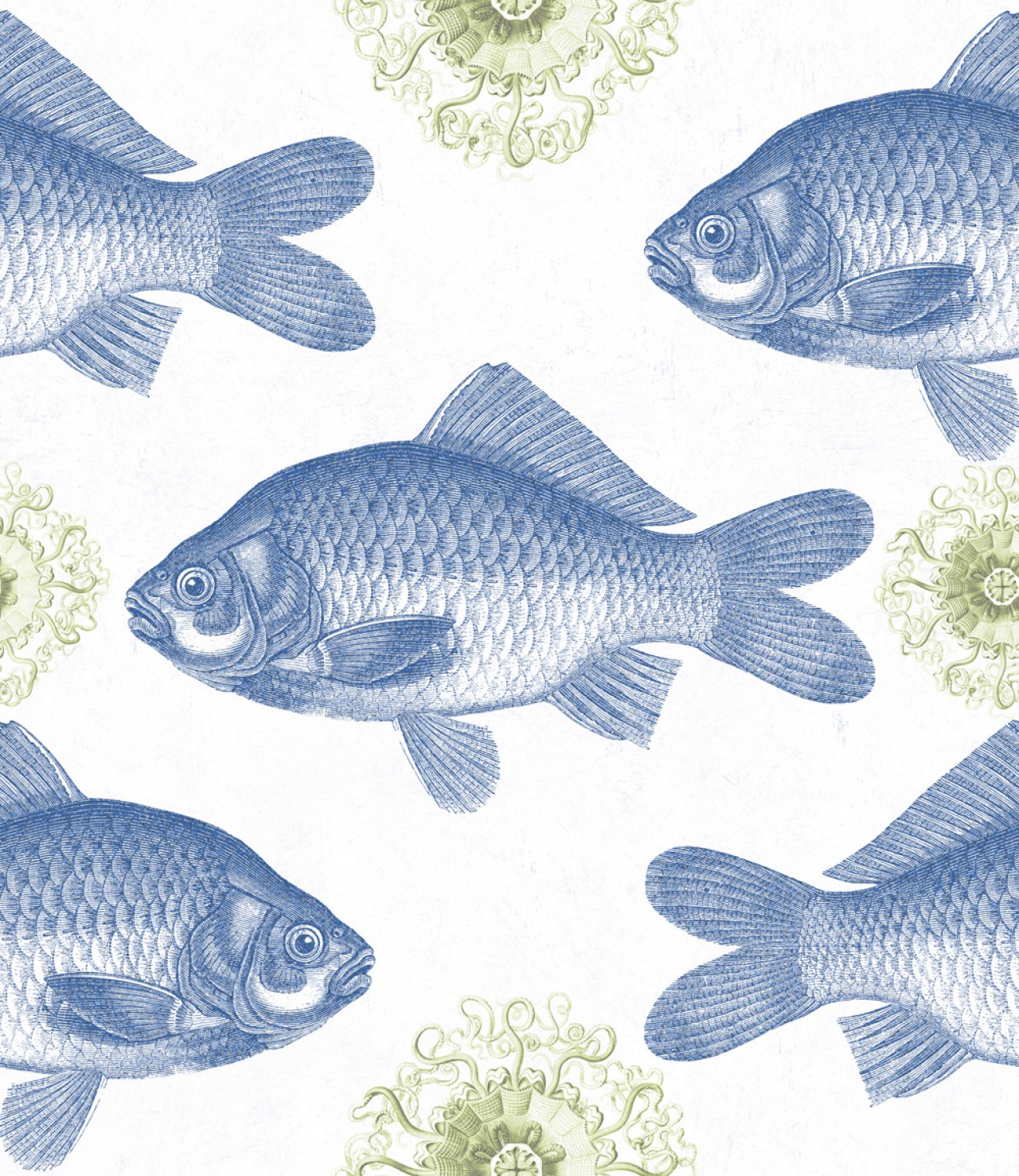 FISH Blue Premium Wallpaper
